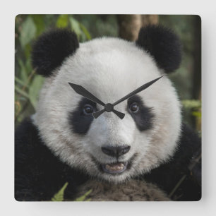 Reloj Cuadrado Panda joven feliz, China