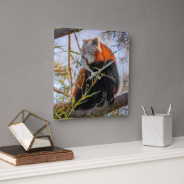 Reloj Cuadrado Panda rojo