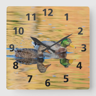 Reloj Cuadrado Pareja de Mallards