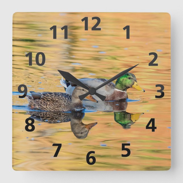 Reloj Cuadrado Pareja de Mallards (Anverso)