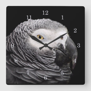 Reloj Cuadrado Paro gris africano