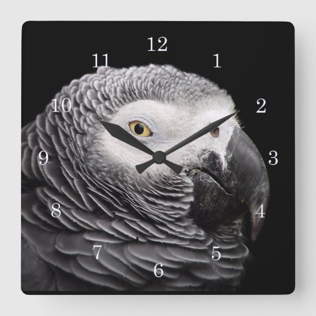 Reloj Cuadrado Paro gris africano (Anverso)