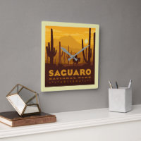 Parque nacional de la Plaza Saguaro | Arizona