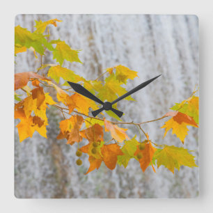 Reloj Cuadrado Parque Natural del Monasterio - hojas de la caída