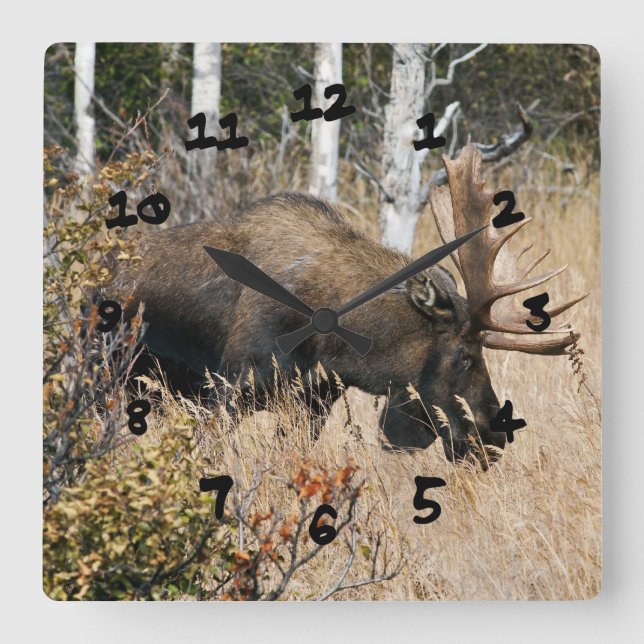 Reloj Cuadrado Pasto de los alces de Bull (Anverso)