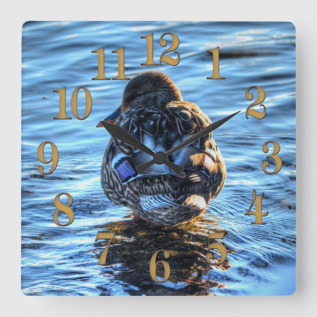 Reloj Cuadrado Pato Mallard en río Invierno - Foto de vida silves (Anverso)