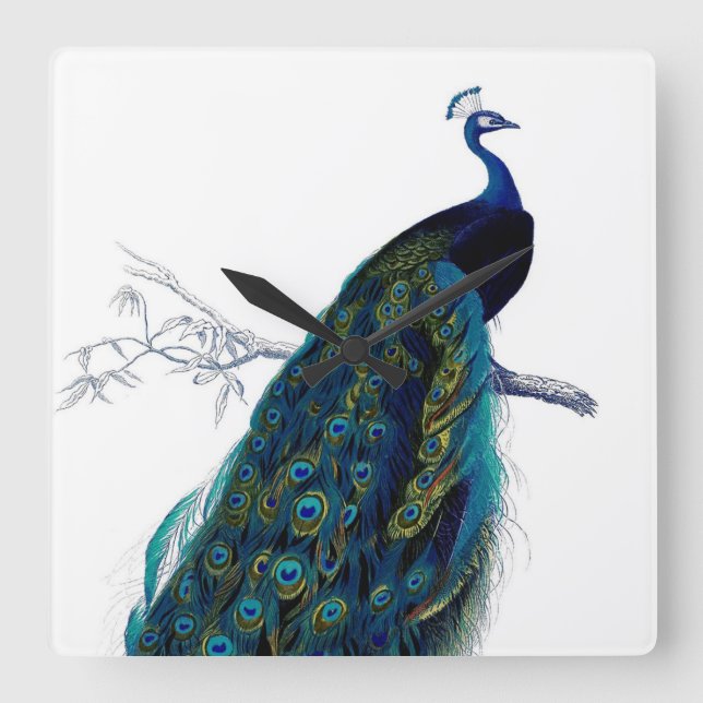 Reloj Cuadrado Pavo Real Azul Elegante Vintage (Anverso)