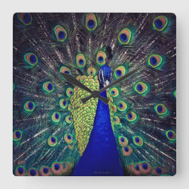 Reloj Cuadrado Peacock azul cobalto