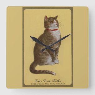 Reloj Cuadrado Peake, anciano de Chessie, gato parlanchín