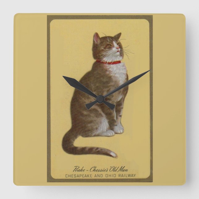 Reloj Cuadrado Peake, anciano de Chessie, gato parlanchín (Anverso)