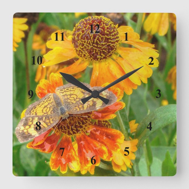 Reloj Cuadrado Pearl Crescent Butterfly on Sneezeweed (Anverso)
