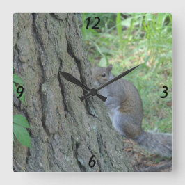 Reloj Cuadrado Peek A Boo Squirrel -
