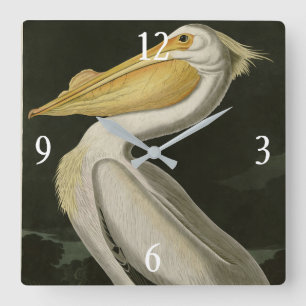 Reloj Cuadrado Pelican blanco estadounidense, los pájaros de Aud