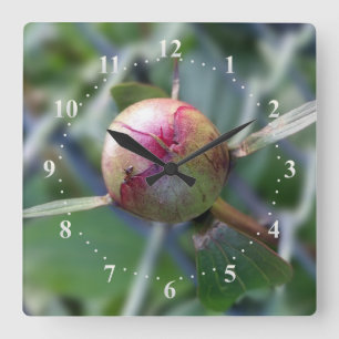 Reloj Cuadrado peony bud