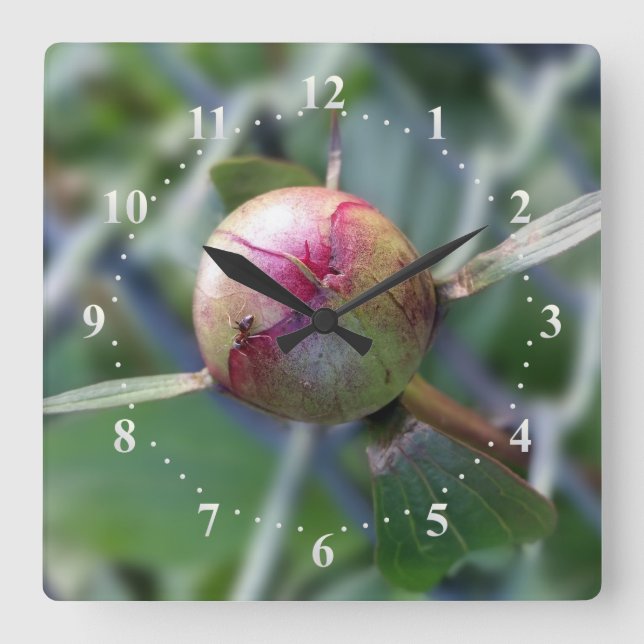 Reloj Cuadrado peony bud (Anverso)