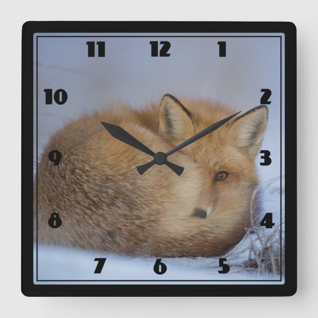 Reloj Cuadrado Pequeño Fox Maldita Foto De Invierno (Anverso)