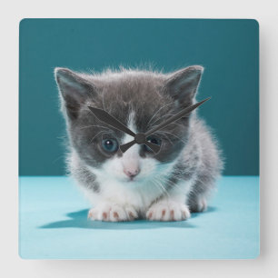 Reloj Cuadrado Pequeño gatito