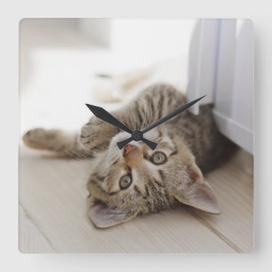 Reloj Cuadrado Pequeño gatito lindo