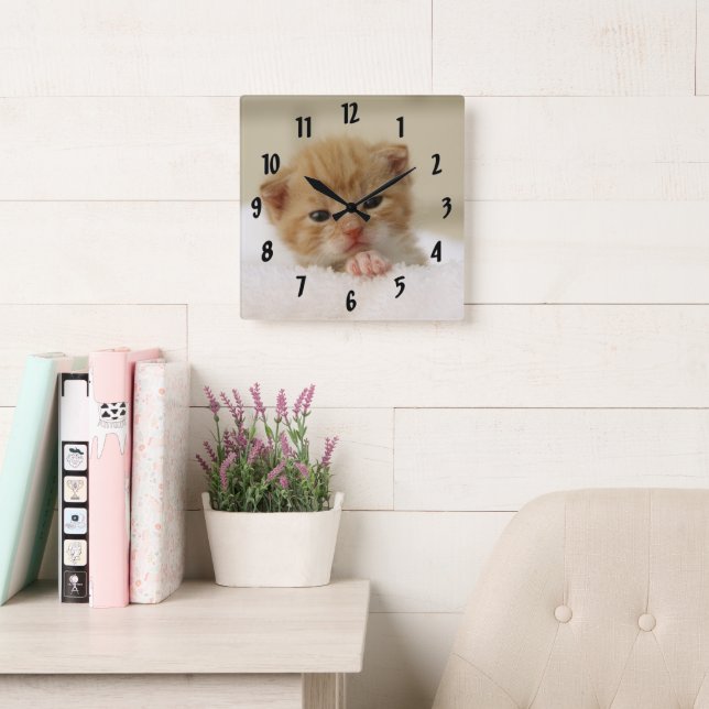 Reloj Cuadrado Pequeño Naranja Kitten (Sala de lectura)