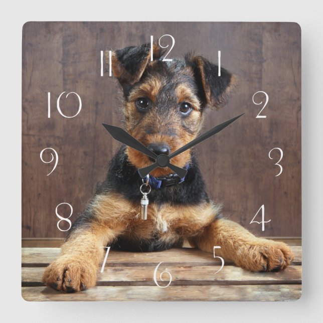 Reloj Cuadrado Perrito de Airedale (Anverso)