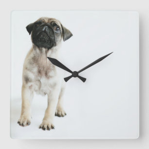 Reloj Cuadrado Perrito lindo del barro amasado