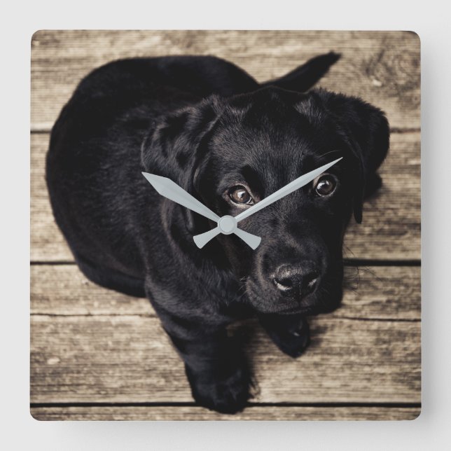 Reloj Cuadrado Perrito negro de Labrador (Anverso)