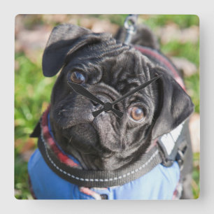 Reloj Cuadrado Perrito negro del barro amasado que lleva una
