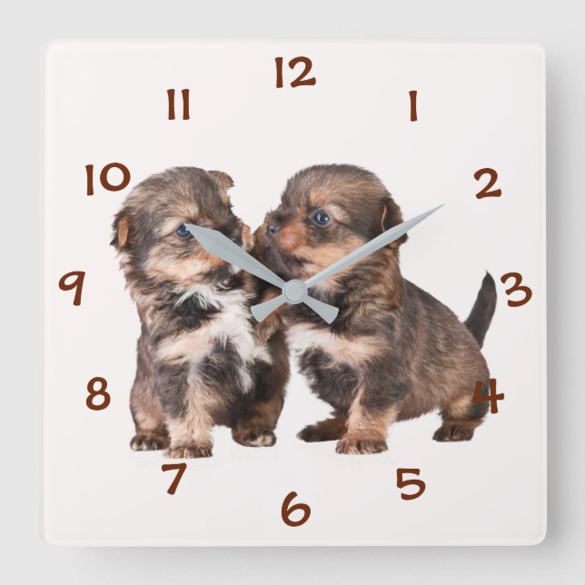 Reloj Cuadrado Perritos lindos de Yorkshire (Anverso)