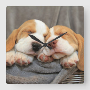 Reloj Cuadrado Perritos soñolientos