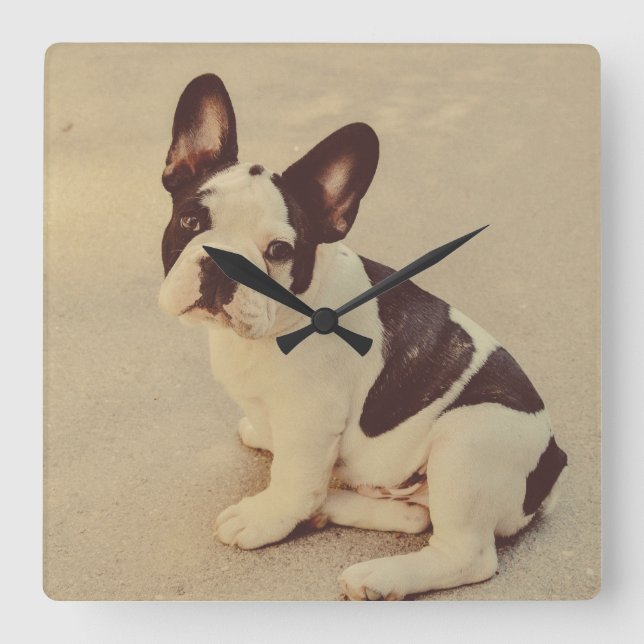 Reloj Cuadrado Perro (Anverso)