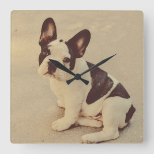 Reloj Cuadrado Perro