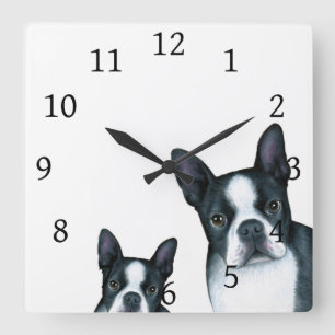 Reloj Cuadrado Perro 128 Boston blanca negra Terrier