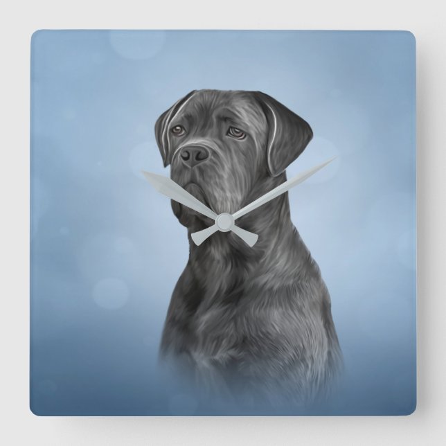 Reloj Cuadrado Perro de dibujo Canso Corso - Mastiff italiano (Anverso)