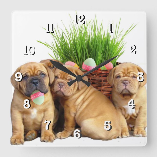 Reloj Cuadrado Perro de Pascua Dogue de Bordeaux (Anverso)