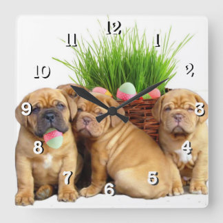 Reloj Cuadrado Perro de Pascua Dogue de Bordeaux