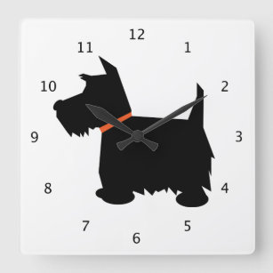 Reloj Cuadrado Perro de Terrier del escocés, silueta negra del