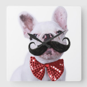 Reloj Cuadrado Perro de toro francés cachorro con bigote