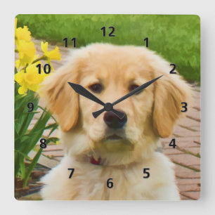 Reloj Cuadrado Perro del golden retriever