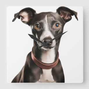 RELOJ CUADRADO PERRO GREYHOUND ITALIANO CUDO NEGRO Y BLANCO