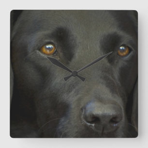 Reloj Cuadrado Perro negro del labrador