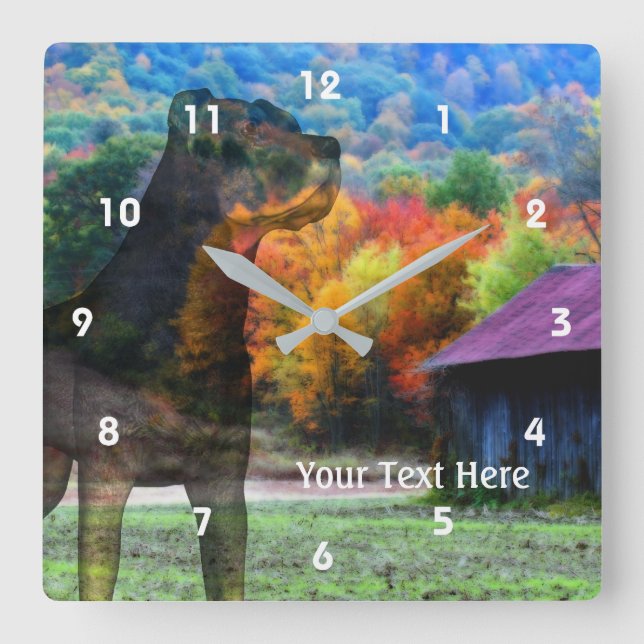 Reloj Cuadrado Perro Rottweiler Y Antiguo Tabaco Barn (Anverso)