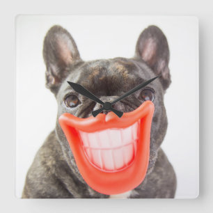 Reloj Cuadrado Perro sonriente de las imágenes el A de Getty