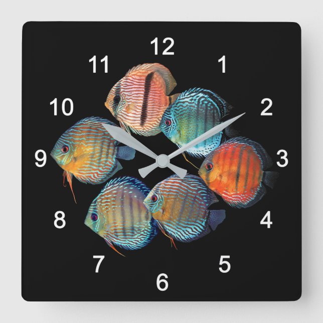 Reloj Cuadrado Pescado de Discus Wild (Anverso)