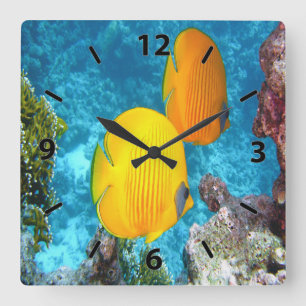 Reloj Cuadrado Pescado de mariposa exótica