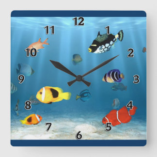 Reloj Cuadrado Pescado En El Océano