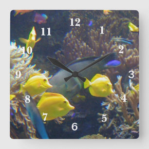 Reloj Cuadrado Pescados del arrecife de coral