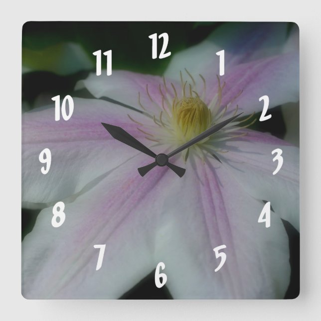 Reloj Cuadrado Pétalos de flor blanco clematis (Anverso)