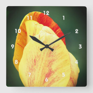 Reloj Cuadrado Pétalos De Flor De Tulipano Con Lluvias Se Acaban 