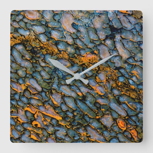 Reloj Cuadrado Petrified Dinosaur Bone (Anverso)
