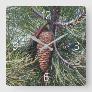 Reloj Cuadrado Pinecone en el árbol de pino